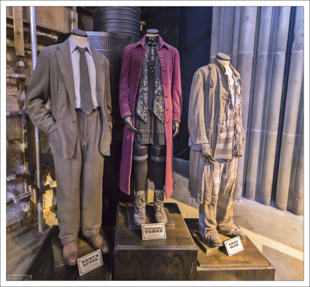 Члены Ордена Феникса: профессор Люпин, Нимфадора, Сириус Блэк.