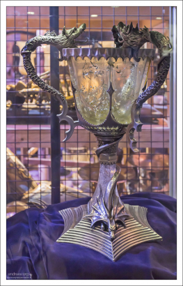 Кубок Огня - артефакт Турнира Трёх Волшебников.