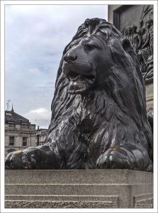 Один из четырех львов у колонны Нельсона на Трафальгарской площади.