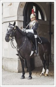 Конные гвардейцы сменяются на посту раз в час. Ни лошадь, ни человек не имеют права шевелиться.