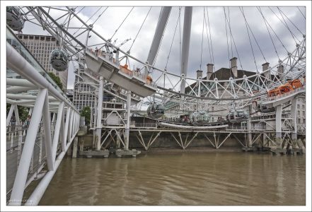 Кабинки-капсулы проходят близко от поверхности воды.