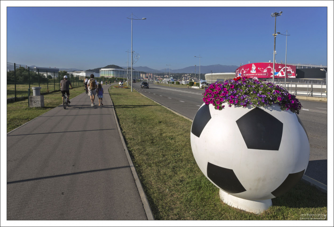 Олимпийский проспект в Адлере.