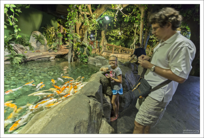 В Сочинском океанариуме.