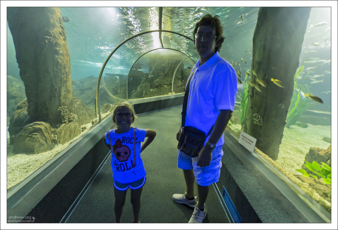 Тоннель с уф-подсветкой в Сочинском океанариуме.