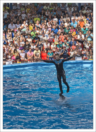 Личный тренер дельфина Паши - Владимир Сапитонов.