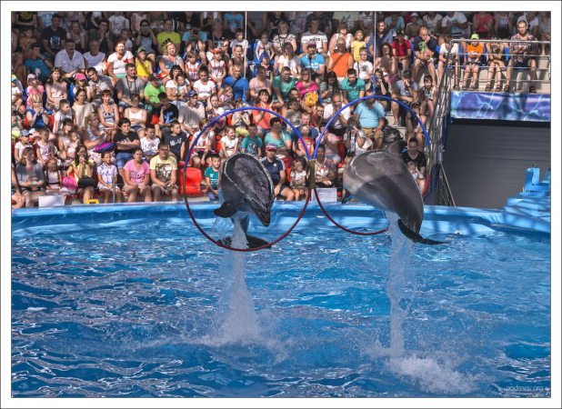 Двойной синхронный прыжок в противоположном направлении.