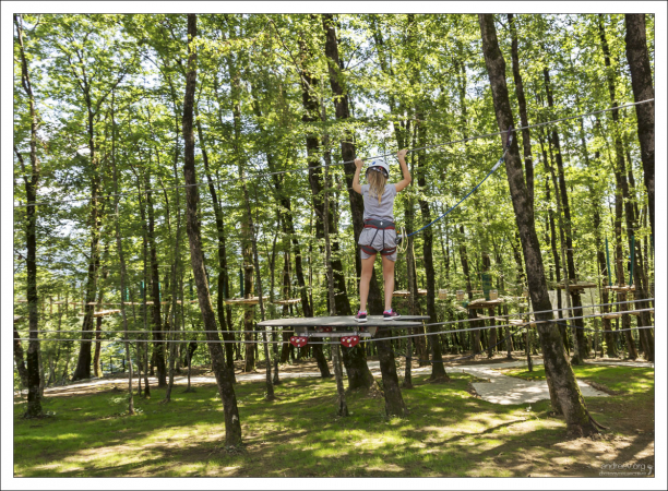 На скейтборде между деревьями.
