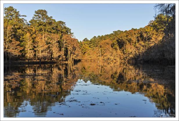 Каддо (англ. Caddo Lake) — водохранилище в штатах Техас и Луизиана, США.