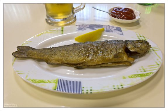 Свежайшая форель, которая еще плавала час назад.