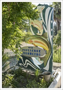 Форелевое хозяйство «Племзавод Адлер» в селе Казачий брод.