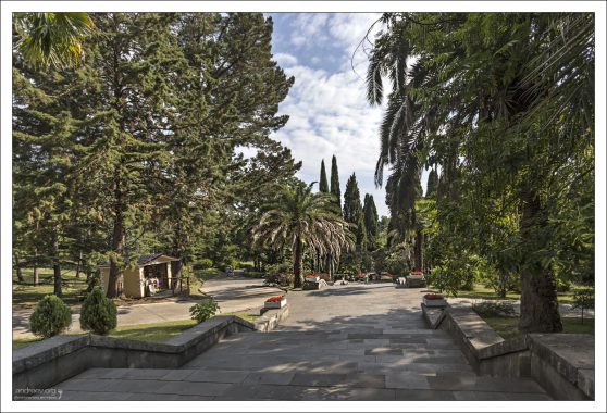 Сочинский дендрарий — уникальное собрание субтропической флоры и фауны.