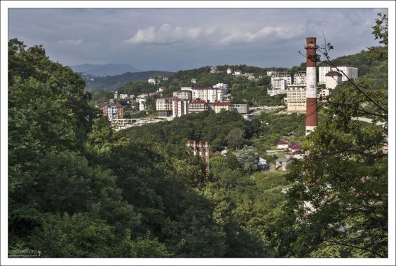 Вид из дендрария на Cочинскую застройку.