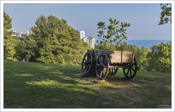 Гористая часть Сочинского дендрария.