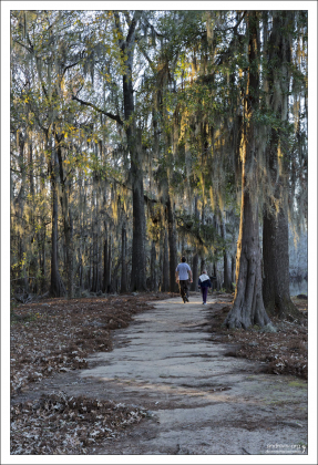 На западном побережье озера Caddo находится государственный парк Caddo Lake State Park.