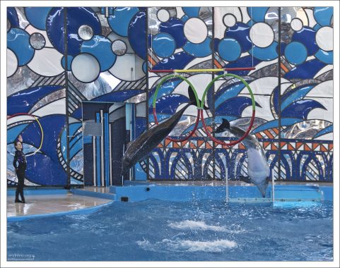 Синхронный прыжок через кольцо.