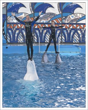 Чудеса водной акробатики.