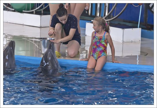 Саша получает инструкции перед плаванием с дельфинами.