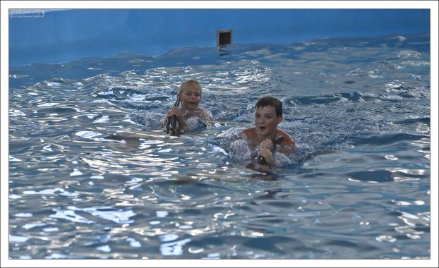 Плавают с дельфином, держась только за его спинной плавник.