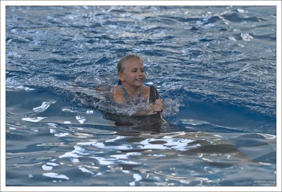 Что-то магическое творят дельфины с людьми в своей природной среде.