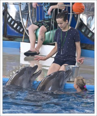 Теперь дельфины получают инструкции перед тем, как плавать с человеком.
