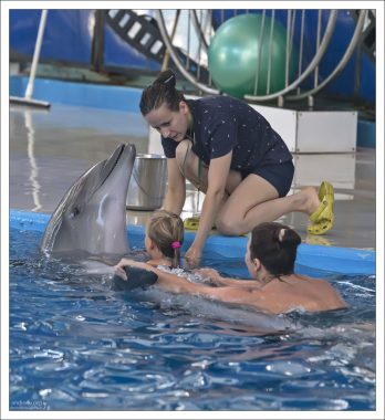 Дельфин готовится отплыть на спине.