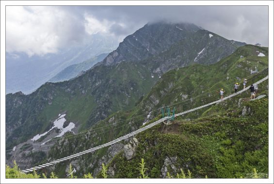 Подвесной мост для смелых на Роза Пик.