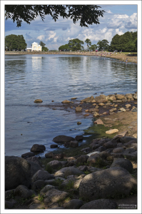 Вдоль Морской аллеи в парке фонтанов. Петергоф.