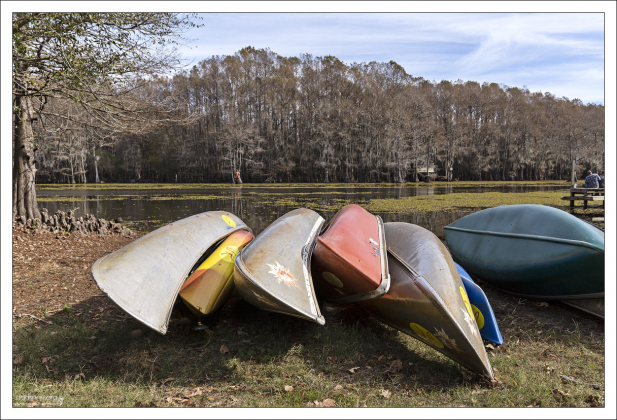 Каяки на просушке на березу озера Каддо.