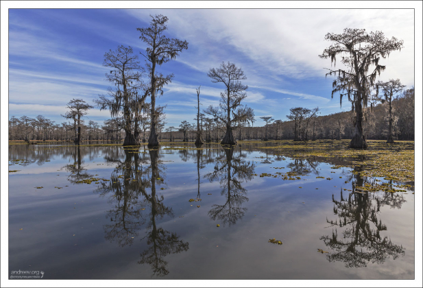 Озеро Каддо получило своё название в честь конфедерации индейских племён каддо, издавна проживавших здесь.