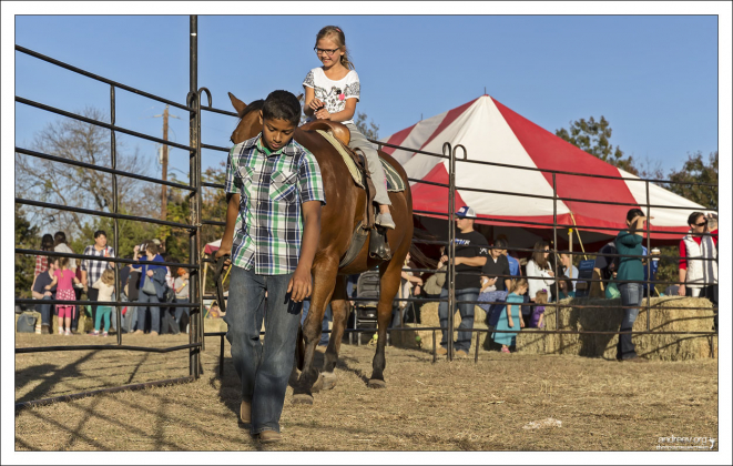 На ферме Homestead Heritage, к северу от города Waco, TX.