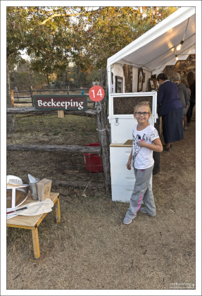 Секция пчеловодства на ферме Homestead Heritage.