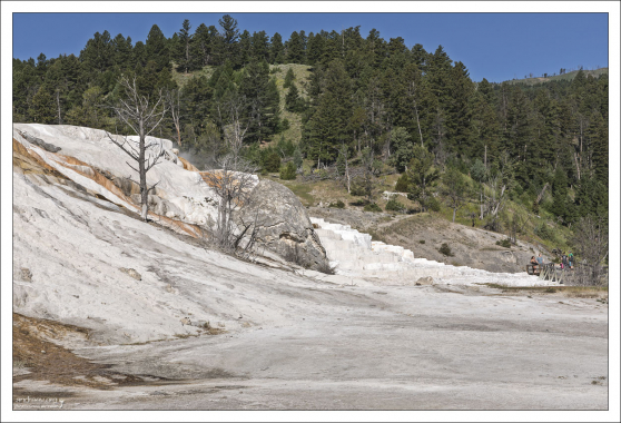 Травертиновые террасы.
Йеллоустонский национальный парк, штат Вайоминг, США.