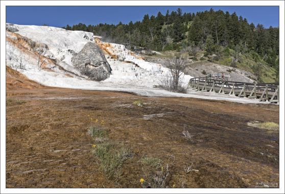 Травертиновые террасы создаются тысячелетиями, когда горячая вода постепенно охлаждается, и откладывает карбонат кальция.
