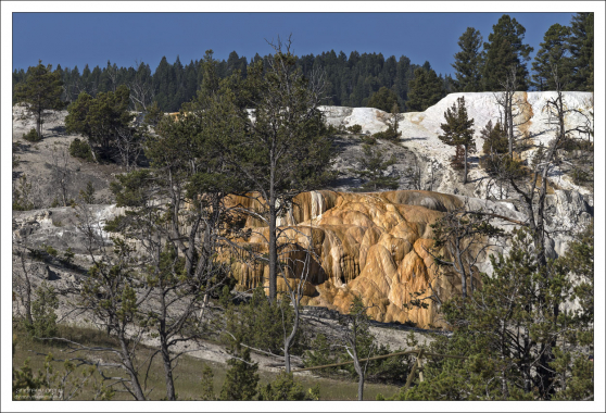 Более двух тонн карбоната кальция вливается в Мамонтовы террасы каждый день в виде раствора.