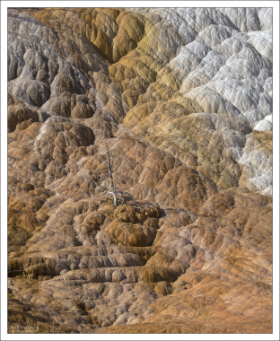 Водоросли, обитающие в теплой воде, окрашивают травертин в оттенки коричневого,
оранжевого, красного и зеленого.