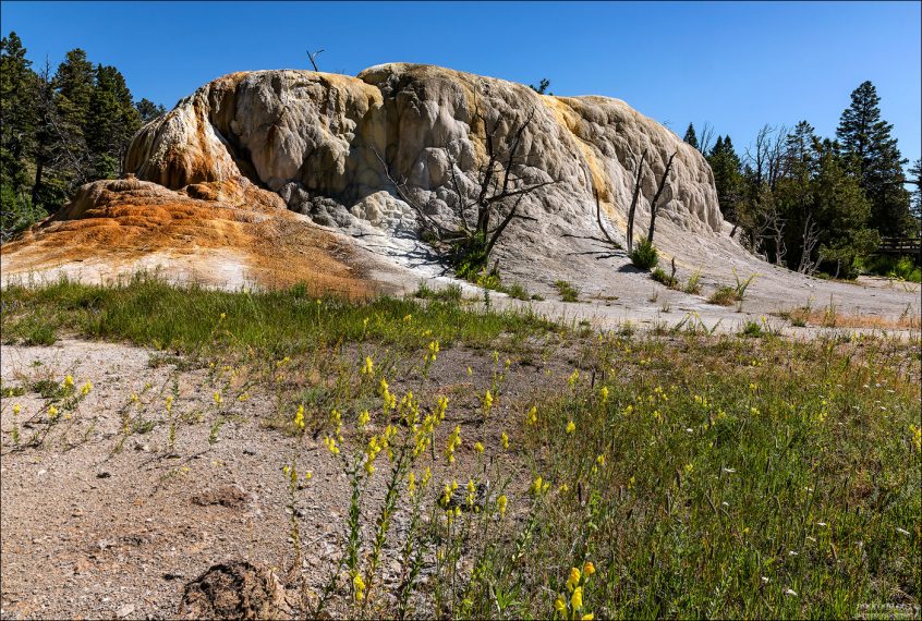 Травертиновая гора Orange Spring Mound уже не такая яркая, какой она запомнилась в 2014 году.