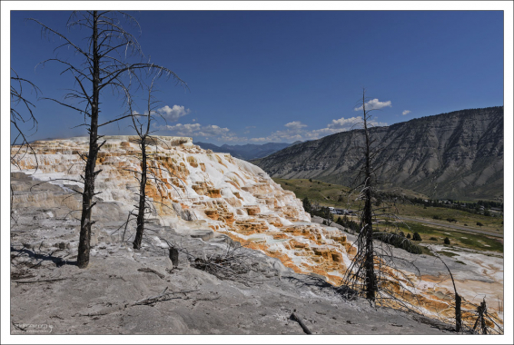 Canary Spring - горячий источник "Канарейка". Здесь живут бактерии - любители серы.