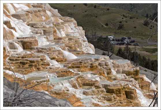 "Новый", передвинувшийся к северу источник Canary Springs и Мраморные террасы.
Т.к. обзорные мостки остались на прежнем месте, то туристам труднее теперь разглядывать травертиновые бассейны.