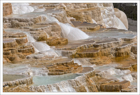 После того, как термальная вода переливается за край,
она спускается вниз по склону и образует террасы,
напоминающие открытые наполненные бочки.
Этот восточный склон Главной террасы называется Мраморной террасой
(Marble Terrace).