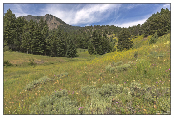 Йеллоустоун без толп.