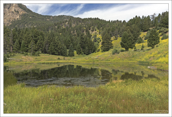 Болотистая местность у одного из Бобровых прудов.