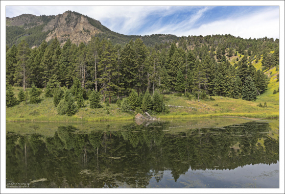 Один из пяти Бобровых прудов. По краям действительно видны бобровые хатки.