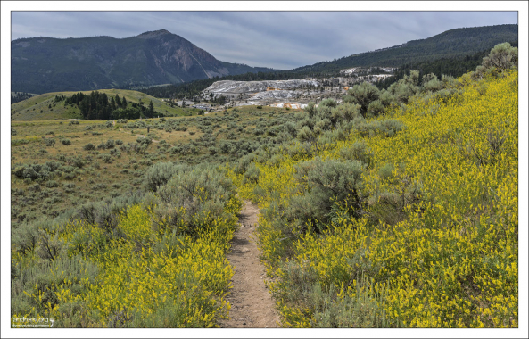 За плато с полынью уже видны Мамонтовы террасы.