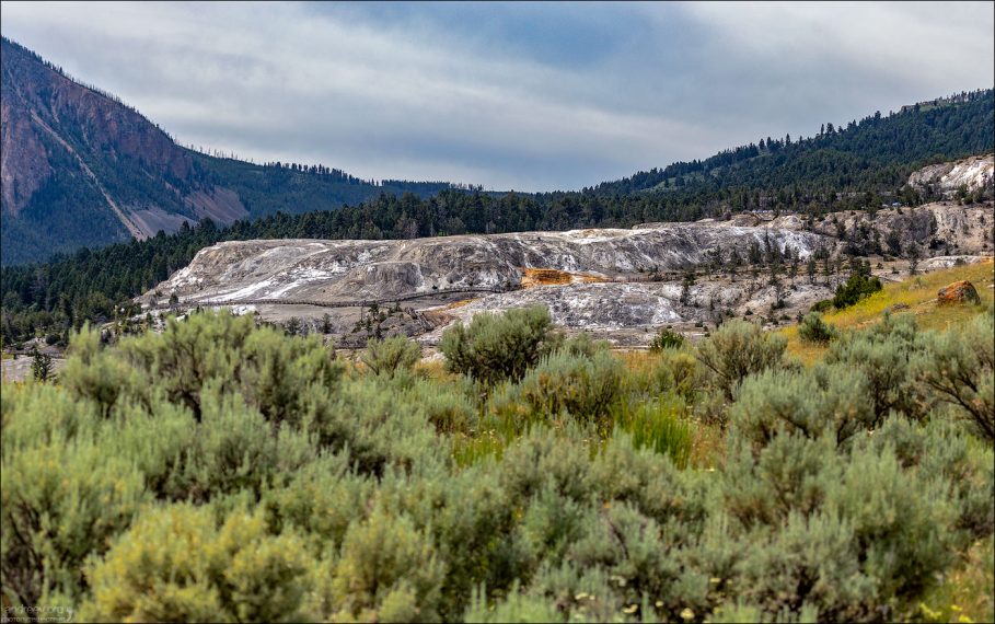 Травертиновый холм Mammoth terraces, видимый через заросли полыни.
