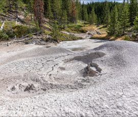 Грязевой котел на вершине холма Artists' Paint pots.
Серная кислота, полученная из газообразного сероводорода, который выделяется из подземного источника, превращает окружающий риолитовый камень в серую глину.