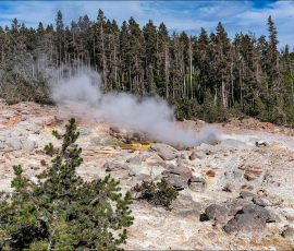Steamboat Geyser (Гейзер Пароход) - самый высокий в мире активный гейзер. Может выбрасывать воду на высоту 300 футов (91 метр).
В 2020 году извергался 48 раз, поставив своеобразный рекорд.