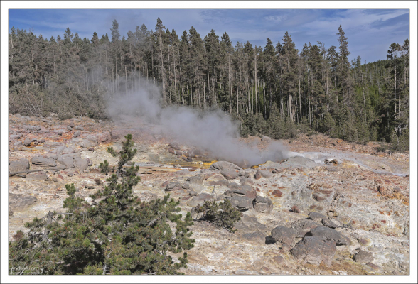 Steamboat Geyser (Гейзер Пароход) - самый высокий в мире активный гейзер. Может выбрасывать воду на высоту 300 футов (91 метр).
В 2020 году извергался 48 раз, поставив своеобразный рекорд.
