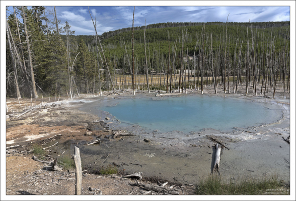 Источник Цистерна и гейзер Пароход связаны под землей. Во время крупного извержения Парохода, вода из бассейна Цистерна Спринг полностью уходит.
В спокойном состоянии Цистерна представляет собой красивый голубой бассейн, из которого постоянно переливается вода. Источник очень продуктивный: ежегодно откладывает до 12 мм сероватого агломерата.