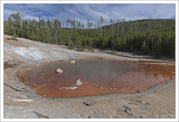Гейзер Echinus (Морской ёж). Принадлежит к редким кислотным гейзерам. Его вода почти такая же кислая, как уксус, с pH от 3,3 до 3,6.
Кислотные гейзеры чрезвычайно редки, и большая их часть на планете находится здесь, в бассейне гейзеров Норрис.