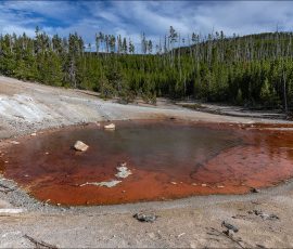Гейзер Echinus (Морской ёж). Принадлежит к редким кислотным гейзерам. Его вода почти такая же кислая, как уксус, с pH от 3,3 до 3,6. Кислотные гейзеры чрезвычайно редки, и большая их часть на планете находится здесь, в бассейне гейзеров Норрис.